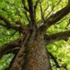 Meet your Posher, Benjamin